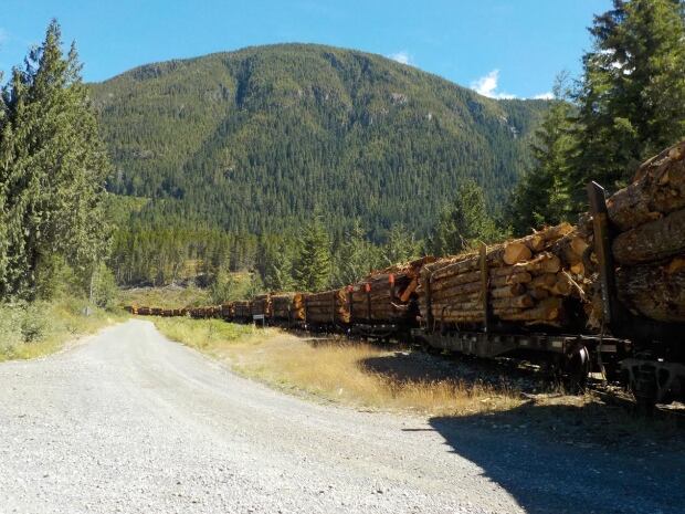 Woss logging train