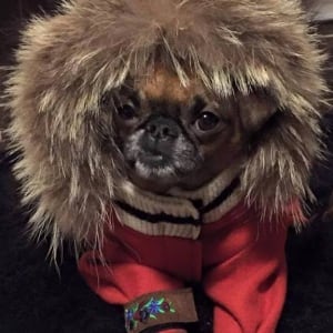 Joey in his custom fur-trimmed coat