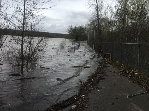 Hamilton's Waterfront Trail flood