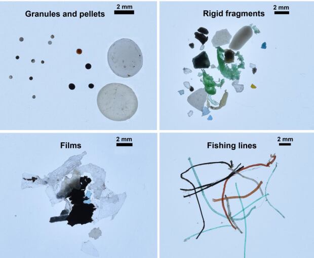 microplastics arctic