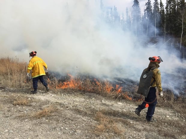 Wildfire control