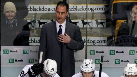 The Los Angeles Kings will reportedly promote John Stevens to become the team's new head coach. Stevens, who has acted as an assistant and associate head coach with L.A. for the past eight seasons, is seen above when he was the interim head coach in 2011. stevens-john-121311-620
