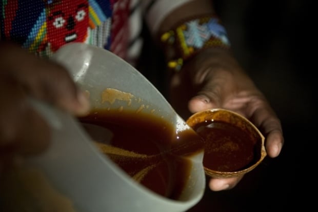Ayahuasca