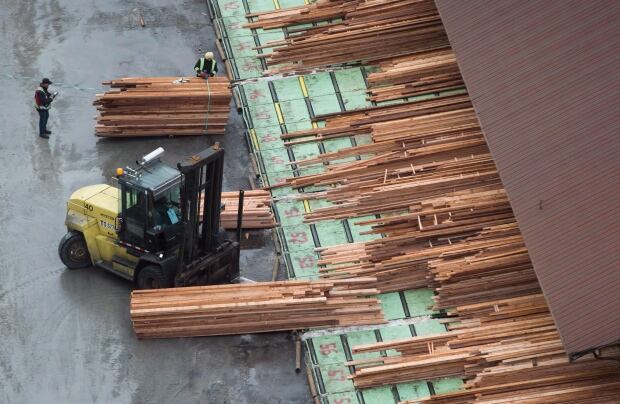 Softwood 201704233