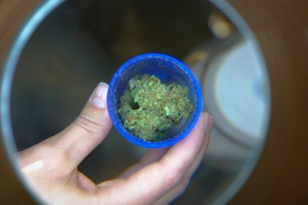 Medical marijuana magnifying glass