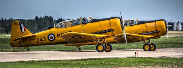 2 Harvard WWII trainer aircraft