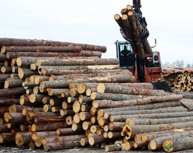 Softwood Lumber 20170425
