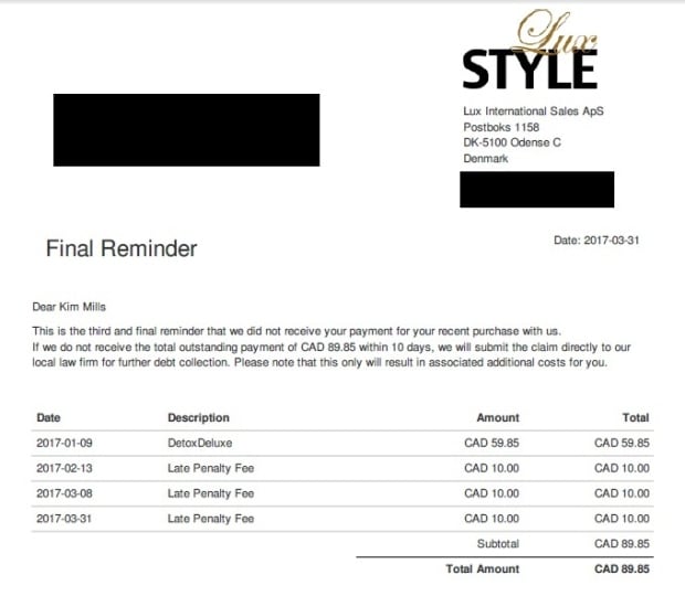 Kim Mills invoice from LuxStyle
