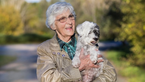 Victoria group seeks volunteers to help older dog lovers care for their ...