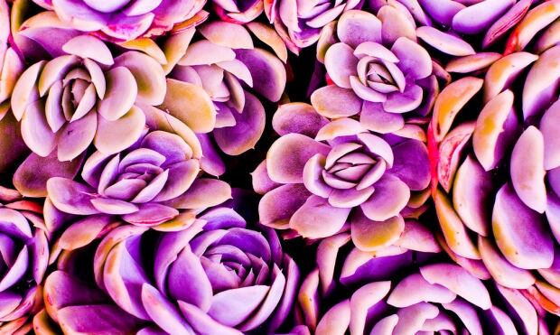 Spring artwork