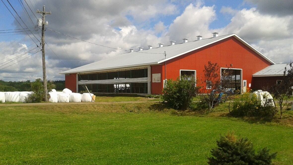 Hoyt dairy farm's history showcased in new book New Brunswick CBC News