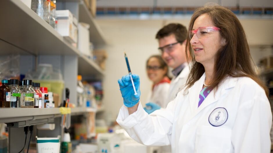 Dr. Molly Shoichet, Canada Research Chair in Tissue Engineering and University Professor at the University of Toronto, has received this year's Killam Prize for Engineering for her work on tissue engineering.