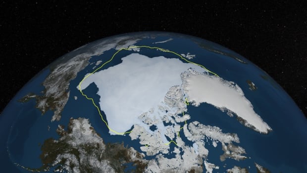 arctic sea ice