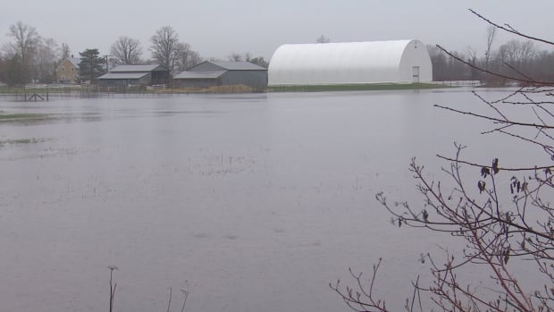 flood farm