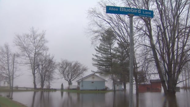 flood houses