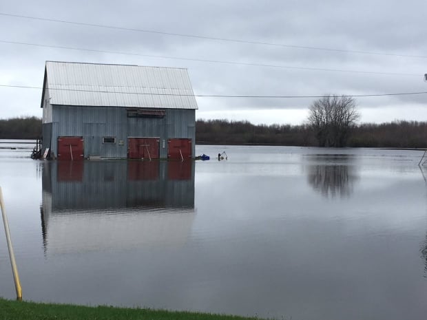 barn flood
