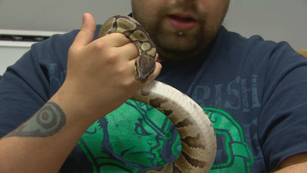 James Carroll with python