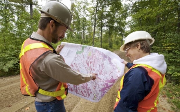 Forest Technologist