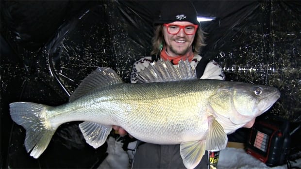 Aaron Wiebe, Uncut Angling