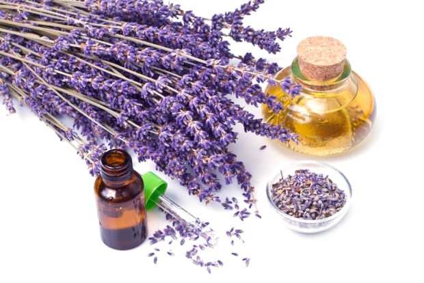 Lavender