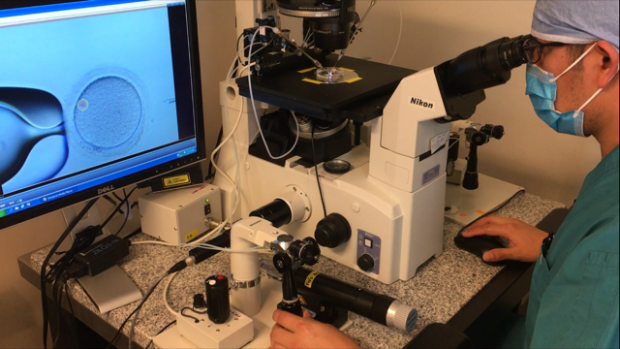 Genesis Fertility Clinic