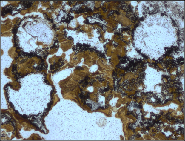 Bubbles preserved in a sticky (microbial) substance provide evidence for life living around hot spri