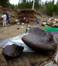 Danek Bonebed