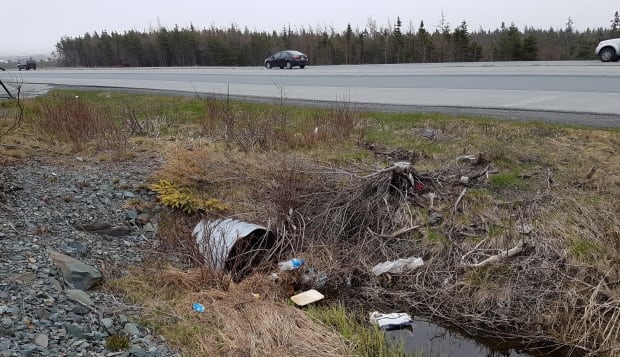 Outer Ring Road trash May 2017