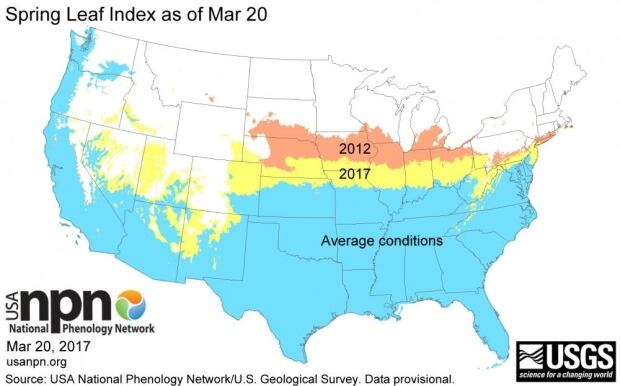 Spring leaf index