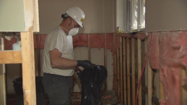 Mould removal