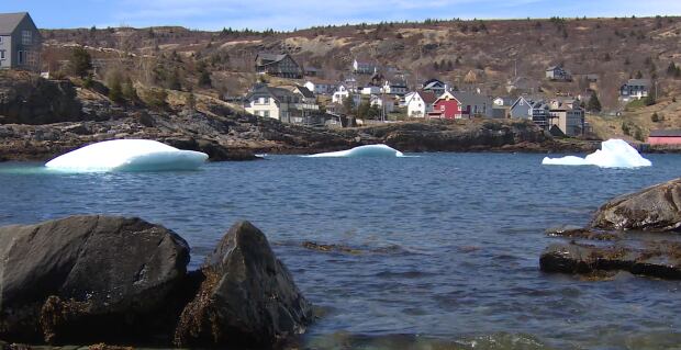 3 small icebergs in Brigus