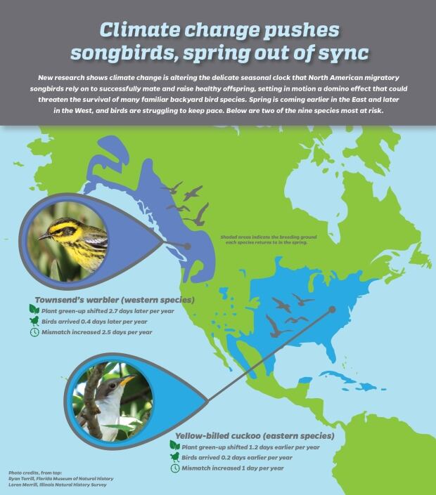 Climate change migration