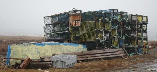 Shag Harbour lobster traps