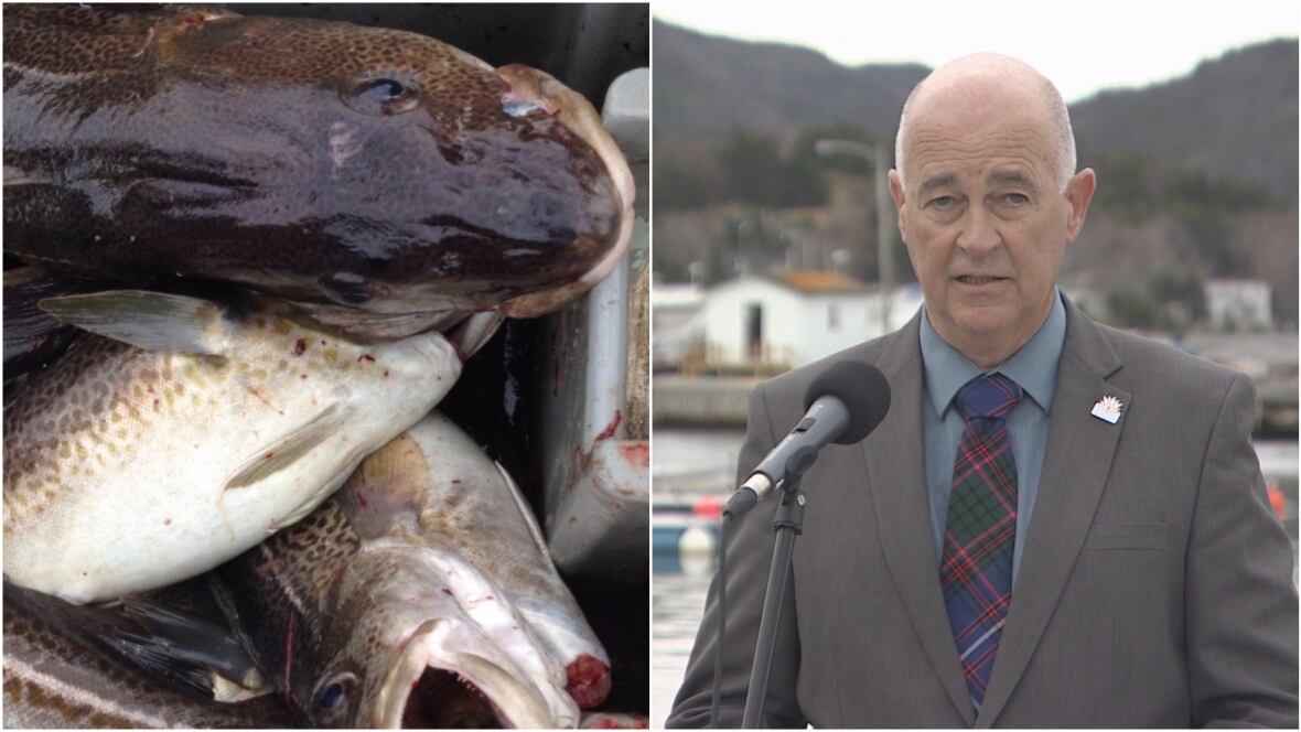Food Fishery Nl Food Fishery Nl