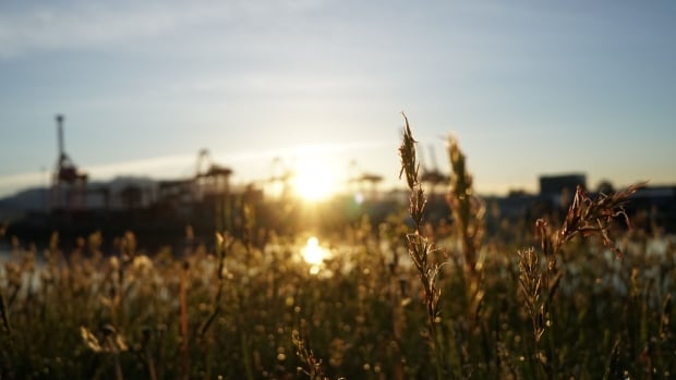 Vancouver Crab Park sunrise