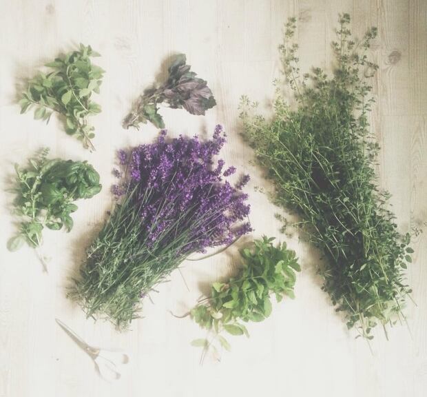 garden herbs