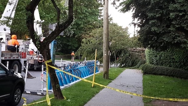 Strong winds cause multiple power blackouts across BC