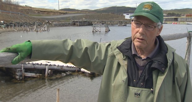 Clarence Marsh, fisherman, North Harbour, Placentia Bay