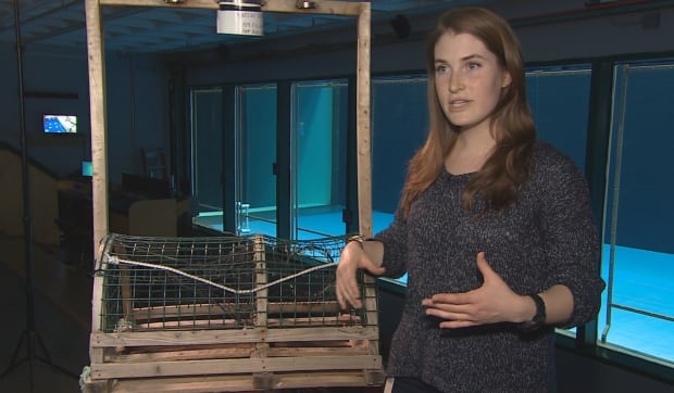 Nicci Zargarpour, Graduate Student at Memorial University's Marine Institute