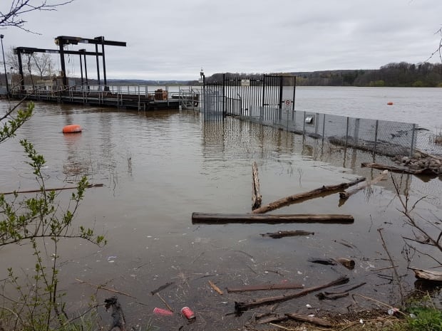 Carp barrier
