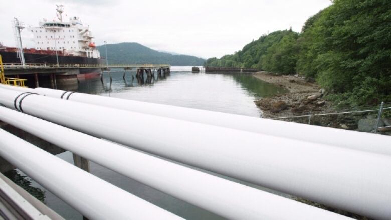 Sask. to intervene on BC constitutional reference case over pipelines