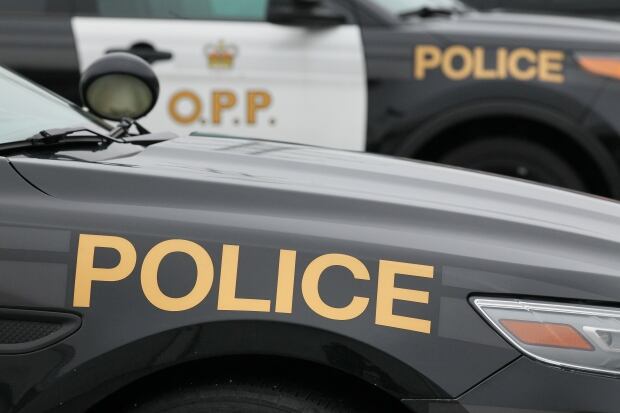 Ontario Provincial Police vehicles