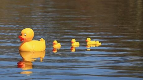 Nova Scotia Power increases the water flow to speed up the rubber duck race.