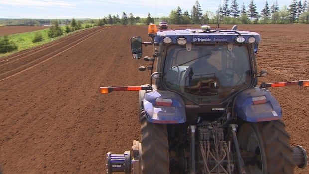 GPS potatoes 6