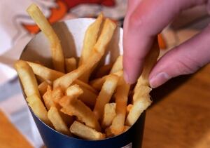 Trans Fat States french fries