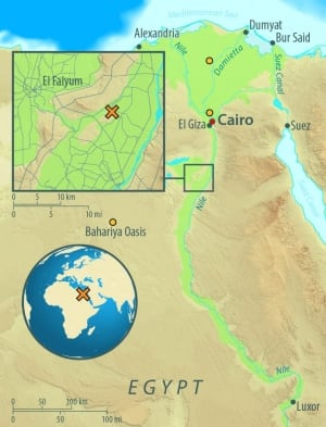 Egyptian mummy site