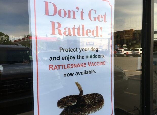 don't get rattled pet vaccine