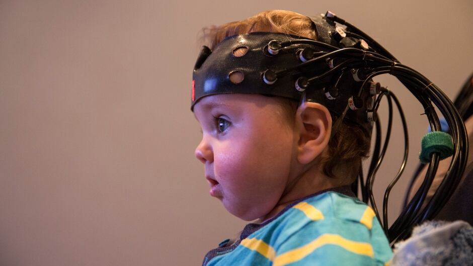 Testing for signs of intelligence begins at an early age. New research has identified 52 genes that are linked to intelligence.