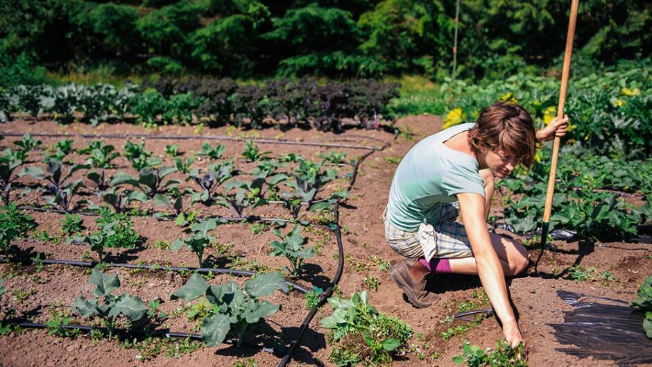 A Rocha Canada offers a Christian conservation program.