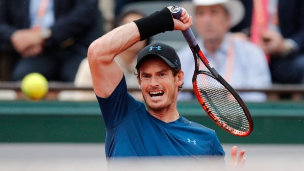 Andy Murray vs. Juan Martin del Potro - player profiles